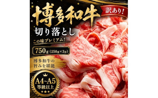 訳あり！【A4～A5】この味プレミアム！博多和牛切り落とし 750g (250g×3p) | 牛肉 ブランド牛 国産 和牛 切落とし 福岡 博多 すき焼き しゃぶしゃぶ 肉じゃが 炒め物 CP055c