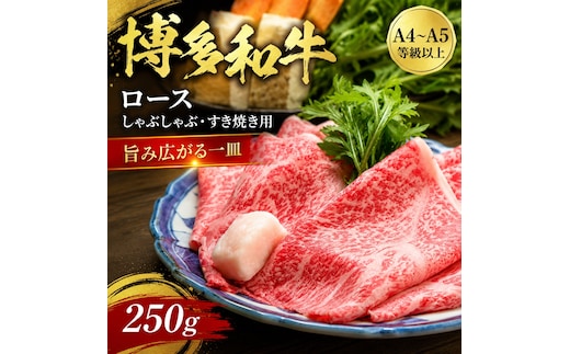 【厳選部位】【A4～A5】博多和牛ロースしゃぶしゃぶすき焼き用 250g | 牛肉 ブランド牛 国産 和牛 福岡 博多 すき焼き しゃぶしゃぶ CP058a