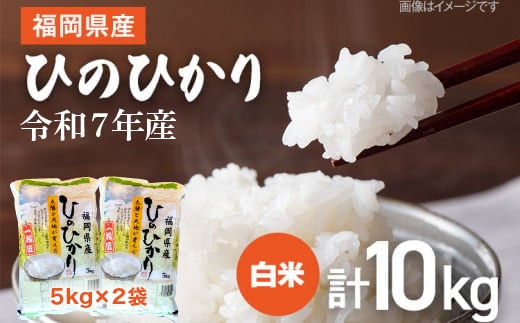 【令和7年産】 福岡県 大木町産 ひのひかり 10kg BC01