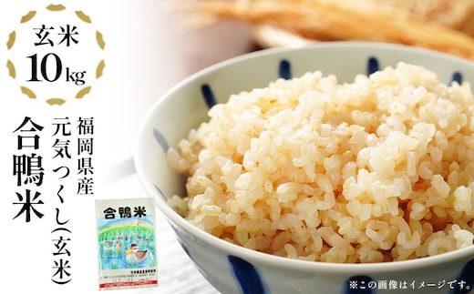 【先行予約】 令和8年産 合鴨米「元気つくし」（玄米・10kg）数量限定 BI21