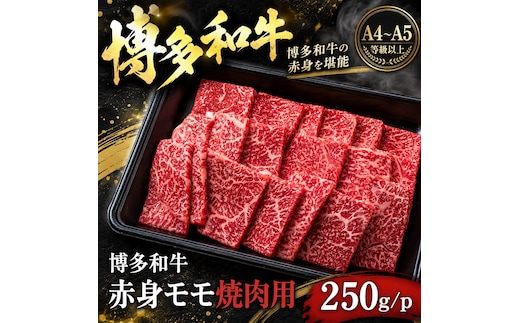 この味プレミアム！【A4～A5】博多和牛赤身モモ焼肉用 250g | 牛肉 ブランド牛 国産 和牛 福岡 博多 BBQ CP069a