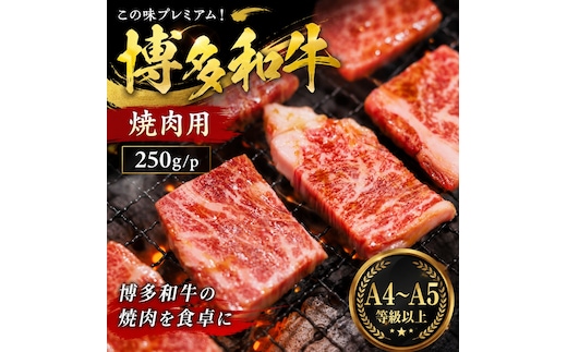 この味プレミアム！【A4～A5】博多和牛赤身モモ焼肉用 250g | 牛肉 ブランド牛 国産 和牛 福岡 博多 BBQ CP068a
