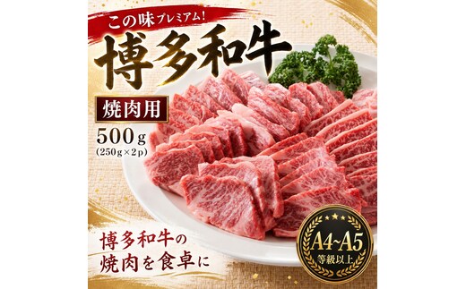この味プレミアム！【A4～A5】博多和牛焼肉用 500g (250g×2p) | 牛肉 ブランド牛 国産 和牛 福岡 博多 BBQ CP068b