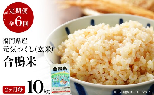 【先行予約】 令和8年産 合鴨米「元気つくし」（玄米・10kg）定期便隔月6回コース 数量限定 ※令和8年10月スタートの定期便 BI25