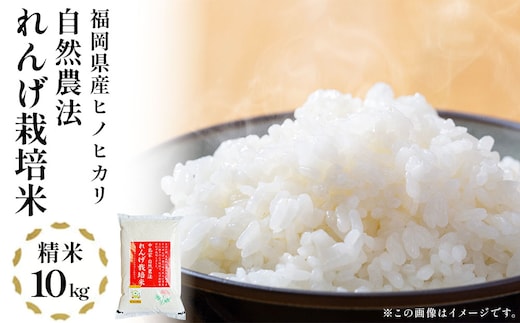 《先行予約》令和8年産 れんげ米 れんげ農法栽培米「ヒノヒカリ」（精米10kg）新米 BI24