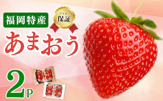 《先行予約》【アフター保証】いちご あまおう 大木町 約250g×2パック 合計500g 【2027年1月～2月に順次出荷予定】 イチゴ あかい まるい おおきい うまい CB223-2P-a