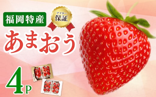《先行予約》【アフター保証】いちご あまおう 大木町 約250g×4パック 合計1000g 【2027年1月～2月に順次出荷予定】 イチゴ あかい まるい おおきい うまい CB223-a