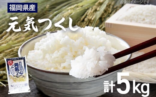 【令和7年産】 福岡県 大木町産 元気つくし 5kg BC02-2