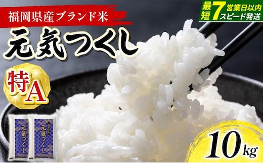【最短7営業日以内発送】福岡県産米 元気つくし 10kg 令和8年産 ※北海道・沖縄・離島は配送不可【精米 8年産 国産 福岡県産 お米 ブランド米 10kg げんきつくし】CY023