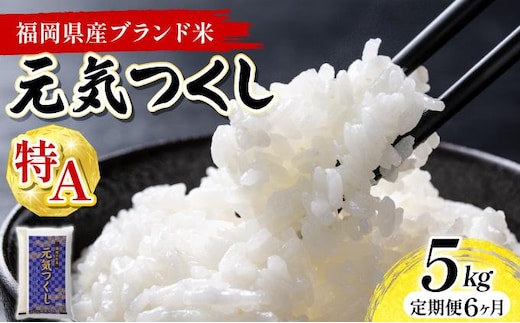 【6ヶ月定期便】福岡県産米 元気つくし 5kg 精米 令和8年産 ※北海道・沖縄・離島は配送不可【精米 8年産 国産 福岡県産 お米 ブランド米 5kg げんきつくし】CY022sub6