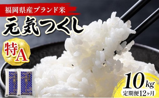 【12ヶ月定期便】福岡県産米 元気つくし 10kg 令和8年産 ※北海道・沖縄・離島は配送不可【精米 8年産 国産 福岡県産 お米 ブランド米 10kg げんきつくし】CY023sub12