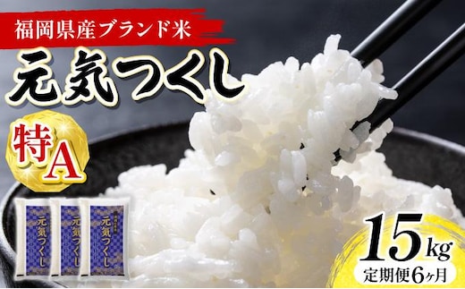 【6ヶ月定期便】福岡県産米 元気つくし 15kg 令和8年産 ※北海道・沖縄・離島は配送不可【精米 8年産 国産 福岡県産 お米 ブランド米 15kg げんきつくし】CY024sub6