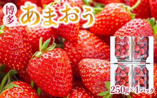 博多あまおう 250g×4P(G.DX以上)【2027年4月以降発送】| 先行予約 いちご イチゴ 苺 福岡県 甘い フルーツ 成果 ギフト 人気 国産