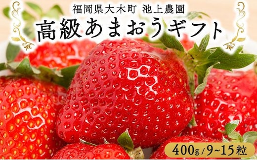 高級あまおうギフト (9～15粒) 400g BD015