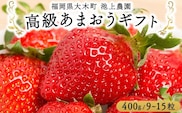 高級あまおうギフト (9～15粒) 400g BD015