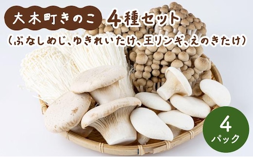 大木町のきのこセット(ぶなしめじ・ゆきれいたけ・王リンギ・えのきたけ各1パック)