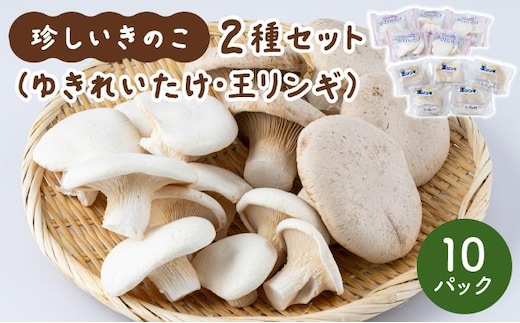 珍しいきのこ2種×5パックセット(ゆきれいたけ5パック・王リンギ5パック)
