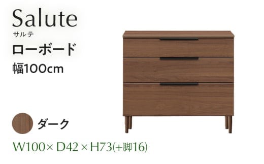 ローボード Salute サルテ 幅100cm DK ダーク ブラウン 家具 収納 書棚 本棚 完成品 【北海道・東北・沖縄・離島不可】CN020-DK