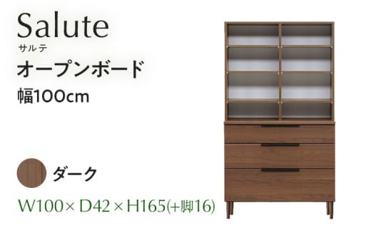 オープンボード Salute サルテ 幅100cm DK ダーク ブラウン 家具 収納 書棚 本棚 完成品 【北海道・東北・沖縄・離島不可】CN019-DK