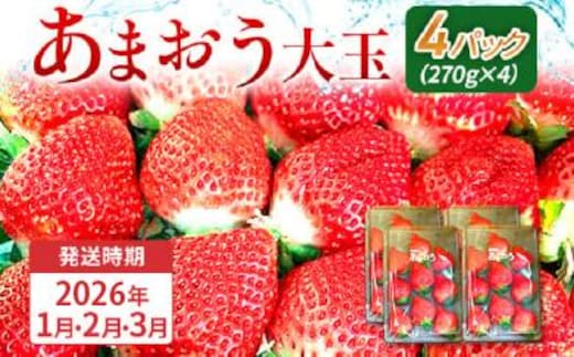 期間限定 いちご あまおう 苺 イチゴ 1kg あまおう（大玉）、4パック（270g/パック） 【2026年1月～3月順次発送】 フルーツ 果物 くだもの 大玉 ※北海道・沖縄・離島は配送不可 大木町産 おおきベリー CT004