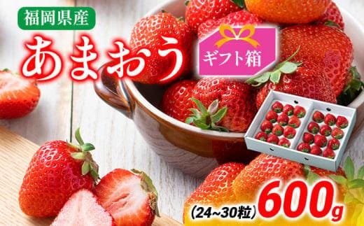 あまおう ギフト箱 約600g 苺 果物 フルーツ 冷蔵 箱入り ギフト 贈り物 送料無料 ※北海道・沖縄・離島は配送不可 大木町産 南国フルーツ CO006