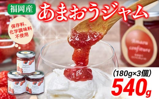 福岡産 あまおうジャム 合計540g 180g×3個 あまおう イチゴ いちご ジャム 朝食 食パン 果物 フルーツ アイス 送料無料 加工食品 詰め合わせ フルーティー 果肉 風味 食感 こだわり 大木町産 南国フルーツ CO028
