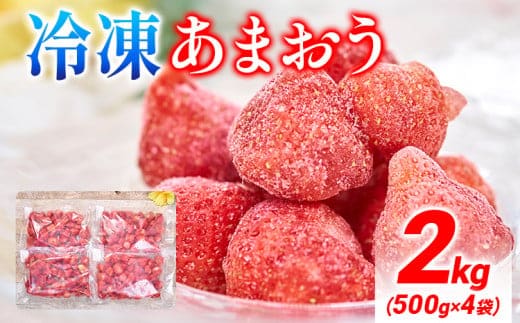 福岡産 冷凍あまおう 2kg(500g×4袋) あまおう イチゴ いちご スイーツ 果物 フルーツ 送料無料 冷凍フルーツ ジャム 苺 ケーキ スムージー いちご飴 かき氷 フルーツ大福 クリスマス 大木町産 南国フルーツ CO027