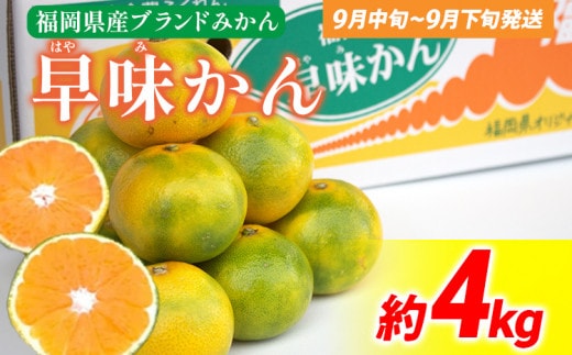 《先行予約》期間限定 みかん 福岡県産ブランド 「早味かん」 約4kg フルーツ 返礼品 お取り寄せグルメ お取り寄せ グルメ 果物 南国フルーツ CO017