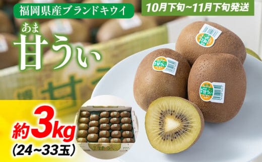 《先行予約》期間限定 福岡県産ブランドキウイ「甘うぃ」約3kg（24-33玉）美容 健康 キウイ キウイフルーツ 南国フルーツ CO015