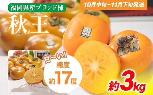 期間限定 福岡県産ブランド柿「秋王」 約3kg（8-12玉）返礼品 お取り寄せグルメ お取り寄せ グルメ かき カキ 果物 フルーツ 南国フルーツ CO012