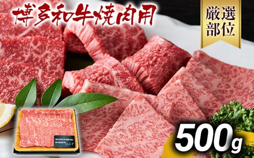 博多和牛焼肉用 500g 黒毛和牛 お取り寄せグルメ お取り寄せ お土産 九州 福岡土産 取り寄せ グルメ MEAT PLUS CP019