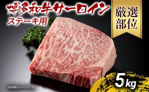博多和牛サーロインステーキ 5kg 黒毛和牛 お取り寄せグルメ お取り寄せ お土産 九州 福岡土産 取り寄せ グルメ MEAT PLUS CP034