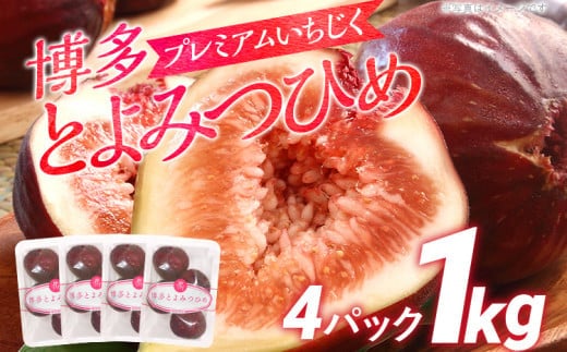 博多とよみつひめ 1,000g（４パック）【2026年8月～10月に発送予定】 CD23