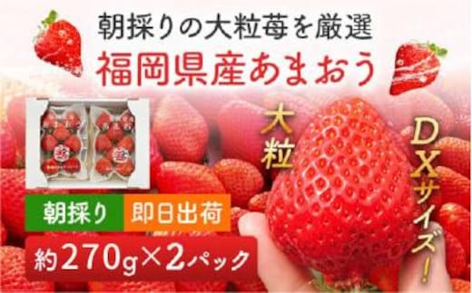 《先行予約》あまおう 約300g×2パック おすすめ 福岡県 大木町 BO003 【2026年12月下旬～2027年4月末頃にかけて順次出荷予定】いちご フルーツ 苺