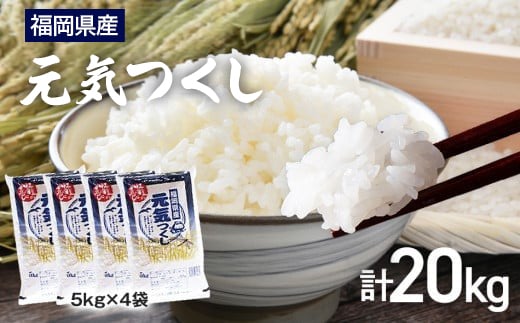 【令和7年産】 福岡県 大木町産 元気つくし 20kg BC05