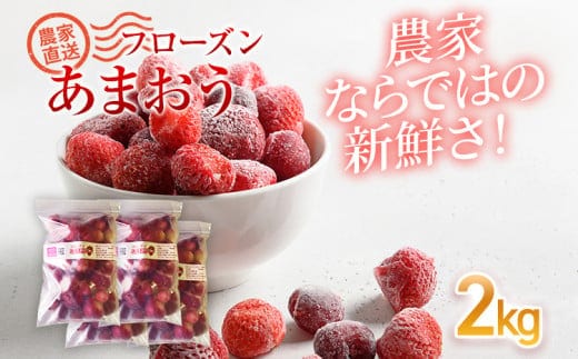 フローズンあまおう2kg(500g×4袋) BD11