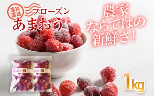 フローズンあまおう1kg(500g×2袋) BD10