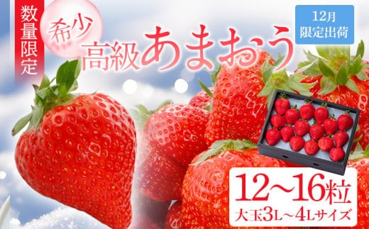 12月限定高級あまおうギフト 大玉3L～4Lサイズ 約12～16粒 BD06
