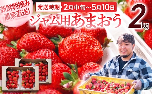 【先行予約】ジャム用あまおう2kg ※2027年2月中旬～5月10日頃にかけて順次出荷予定 BD07
