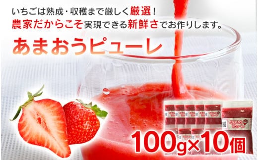 あまおうピューレ100g×10個 BD09