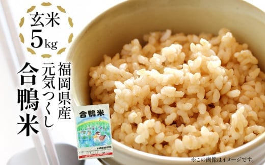 【先行予約】 令和8年産 合鴨米「元気つくし」（玄米・5kg）数量限定 BI09