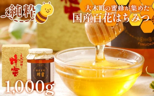 国産蜂蜜ギフト 1,000g 黒ラベル CD12