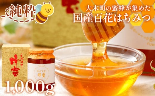 国産蜂蜜ギフト 1,000g 白ラベル CD01