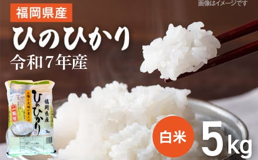 【令和7年産】 福岡県 大木町産 ひのひかり 5kg BC01-1
