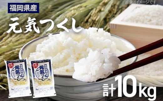 【令和7年産】 福岡県 大木町産 元気つくし 10kg BC02