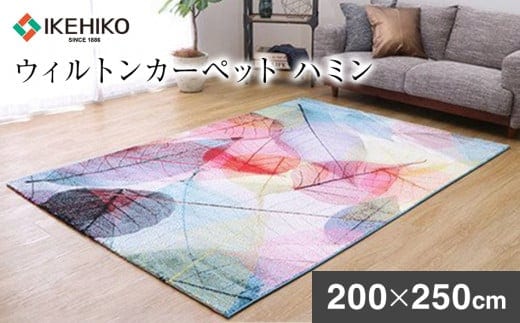 ウィルトンカーペット ハミン 200×250ｃｍ AA435