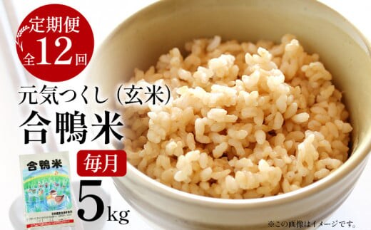 【先行予約】 令和8年産 合鴨米「元気つくし」（玄米・5kg）定期便12回コース 数量限定 ※令和8年10月スタートの定期便 BI11