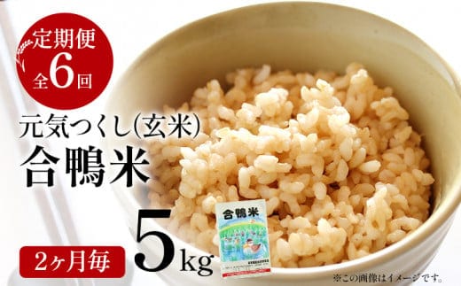 《先行予約》令和8年産 合鴨米「元気つくし」（玄米・5kg）定期便6回コース 数量限定 ※令和8年10月スタートの定期便 新米 BI10