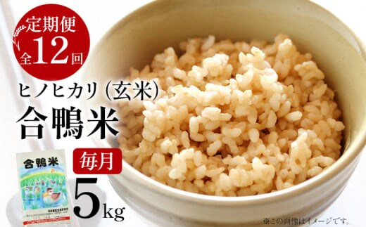 令和8年産 合鴨米「ヒノヒカリ」（玄米・5kg）定期便12回コース 数量限定 ※令和8年10月スタートの定期便 BI06