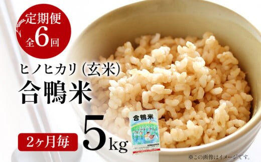 【先行予約】 令和8年産 合鴨米「ヒノヒカリ」（玄米・5kg）定期便6回コース 数量限定 ※令和8年10月スタートの定期便 BI04
